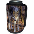 3dRose Danita Delimont - Wolves - USA, New Jersey, Columbia, Lakota Wolf Preserve. Wolf prowling - Can Cooler Bottle Wrap (cc_259709)