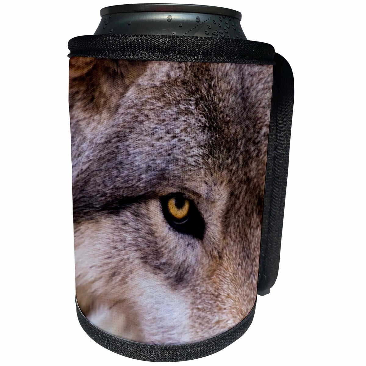 3dRose Danita Delimont - Wolves - New Jersey, Columbia. Close-up of timber wolfs head. - Can Cooler Bottle Wrap (cc_259711)