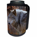 3dRose Danita Delimont - Wolves - New Jersey, Columbia, Lakota Wolf Preserve. Close-up of timber wolf. - Can Cooler Bottle Wrap (cc_259712)