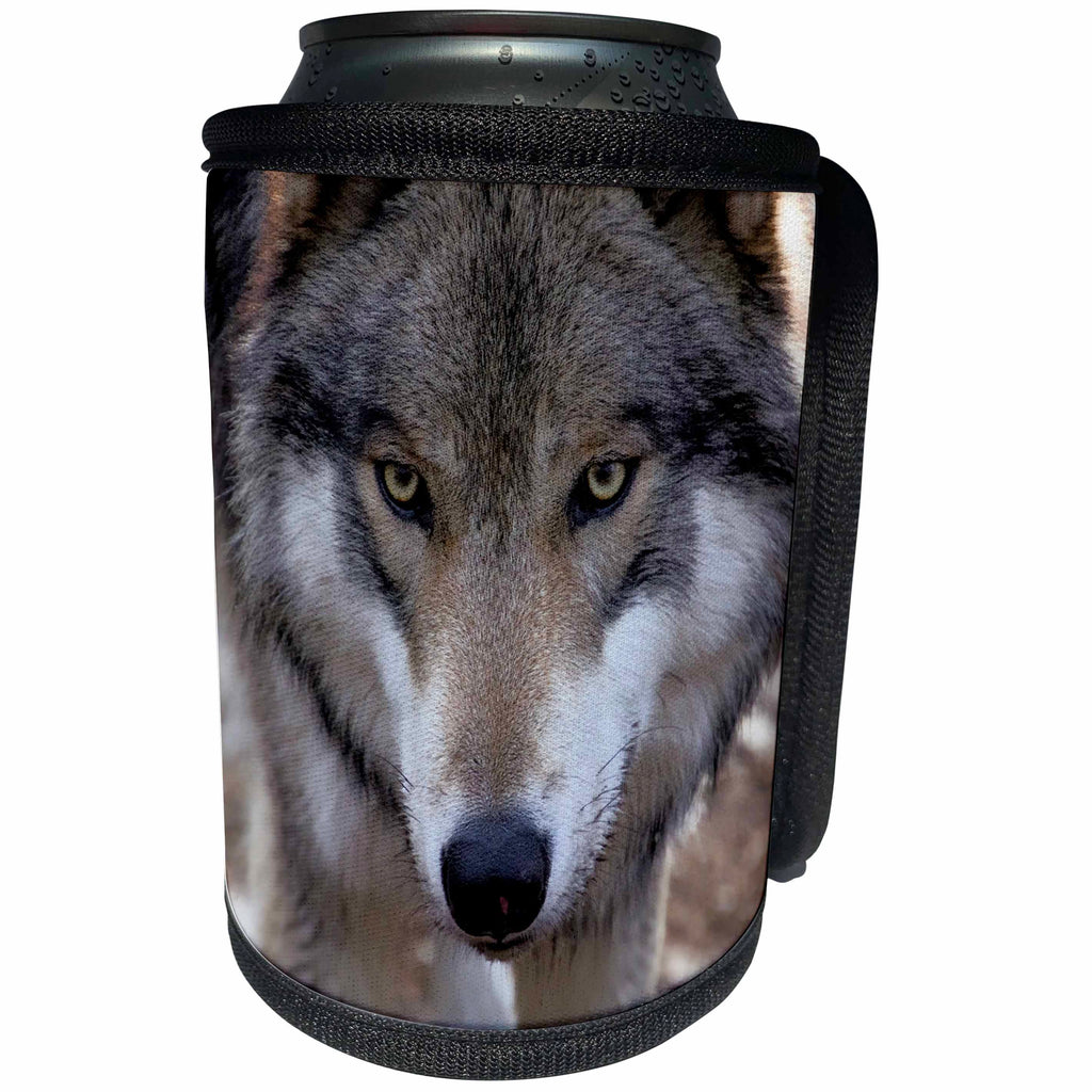 3dRose Danita Delimont - Wolves - New Jersey, Columbia, Lakota Wolf Preserve. Timber wolf. - Can Cooler Bottle Wrap (cc_259713)