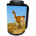3dRose Danita Delimont - Llama - USA, New Mexico, Bisti De-Na-Zin Wilderness, Free Roaming Guanaco - Can Cooler Bottle Wrap (cc_259716)