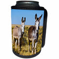 3dRose Danita Delimont - Donkeys - USA, New Mexico, Bisti De-Na-Zin Wilderness, Two Donkeys - Can Cooler Bottle Wrap (cc_259717)