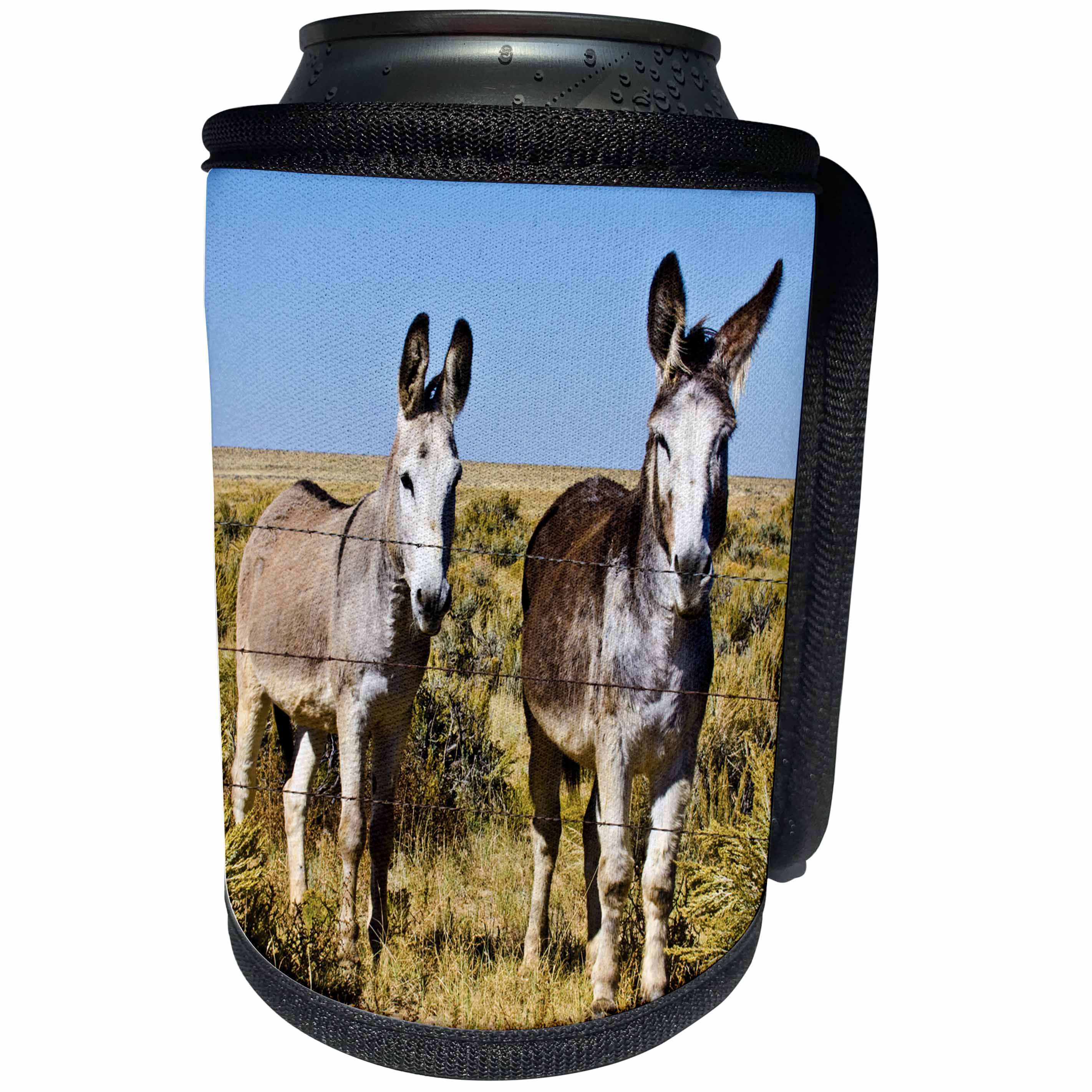 3dRose Danita Delimont - Donkeys - USA, New Mexico, Bisti De-Na-Zin Wilderness, Two Donkeys - Can Cooler Bottle Wrap (cc_259717)