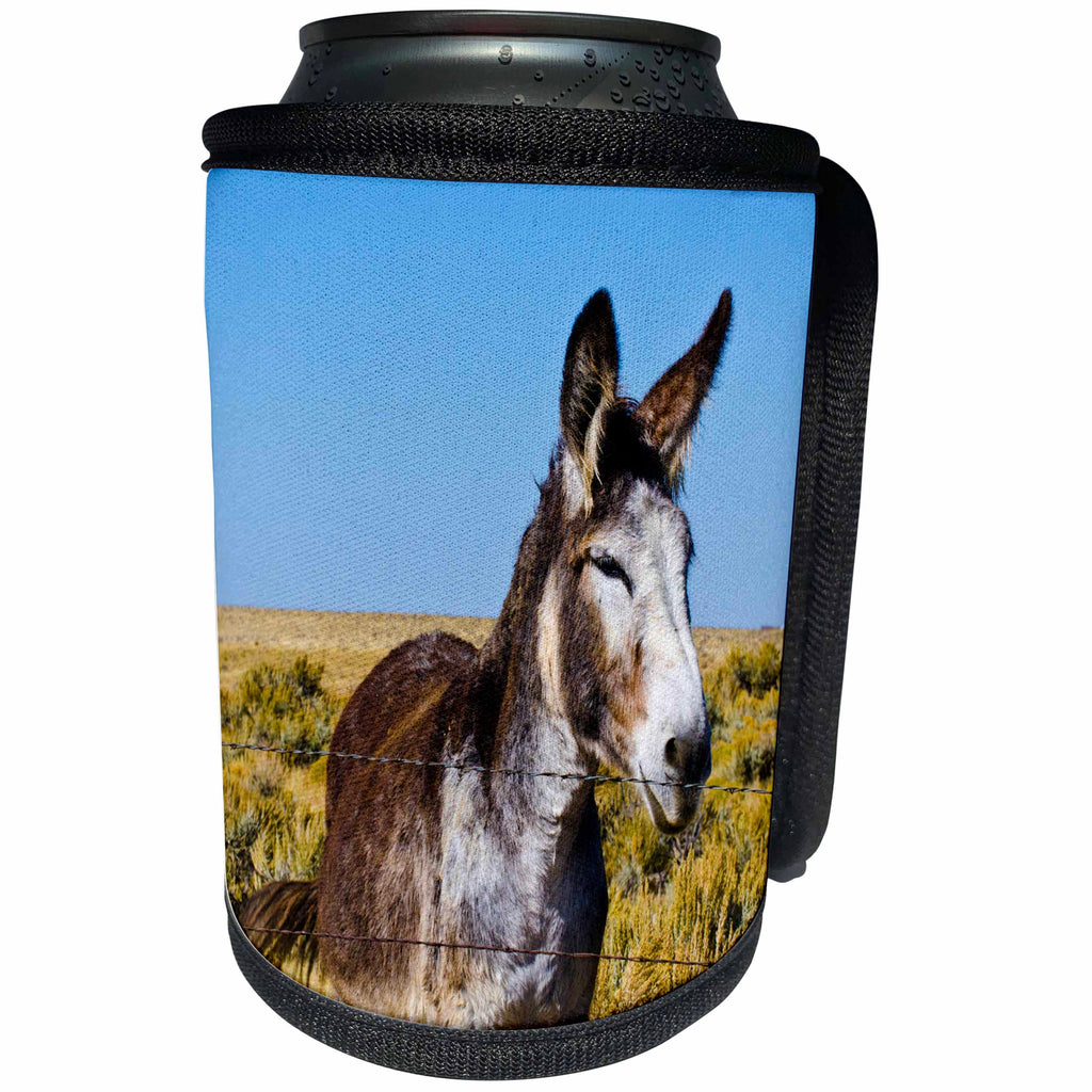3dRose Danita Delimont - Donkeys - USA, New Mexico, Bisti -De-Na-Zin Wilderness, Donkey - Can Cooler Bottle Wrap (cc_259719)