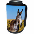 3dRose Danita Delimont - Donkeys - USA, New Mexico, Bisti -De-Na-Zin Wilderness, Donkey - Can Cooler Bottle Wrap (cc_259719)