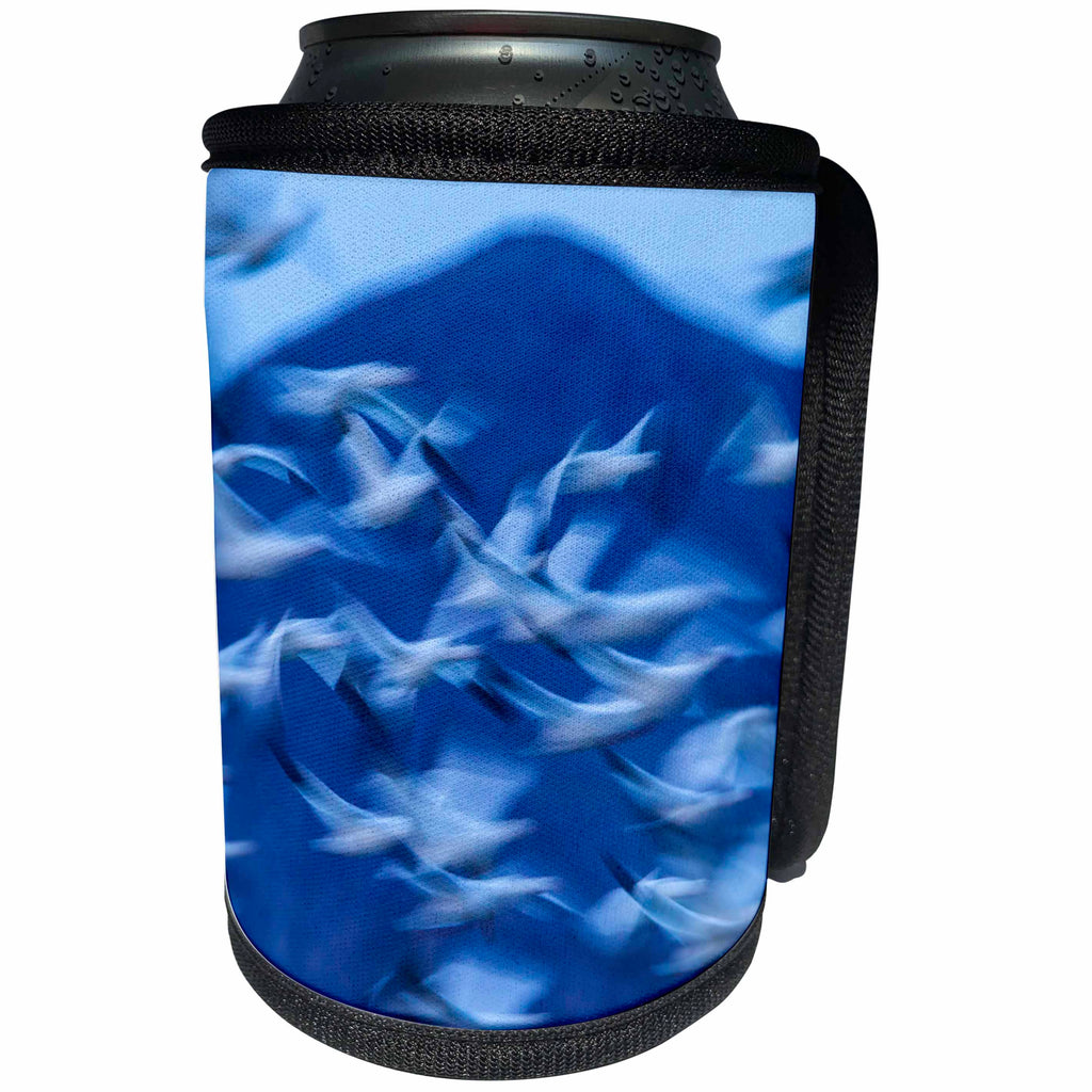 3dRose Danita Delimont - Abstracts - USA, New Mexico, Bosque Del Apache NWR. Snow geese in flight. - Can Cooler Bottle Wrap (cc_259728)