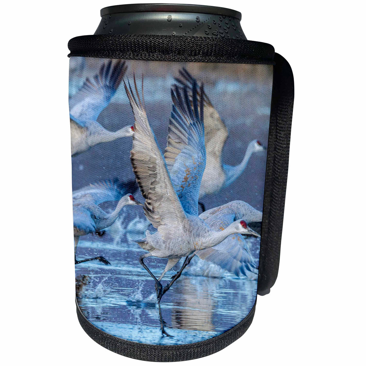 3dRose Danita Delimont - birds - USA, New Mexico, Bosque Del Apache NWR. Sandhill cranes flying. - Can Cooler Bottle Wrap (cc_259729)