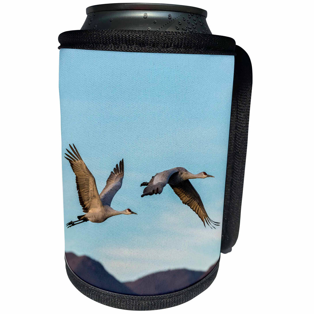 3dRose Danita Delimont - Birds - USA, New Mexico, Bosque Del Apache NWR. Two Sandhill cranes flying. - Can Cooler Bottle Wrap (cc_259732)