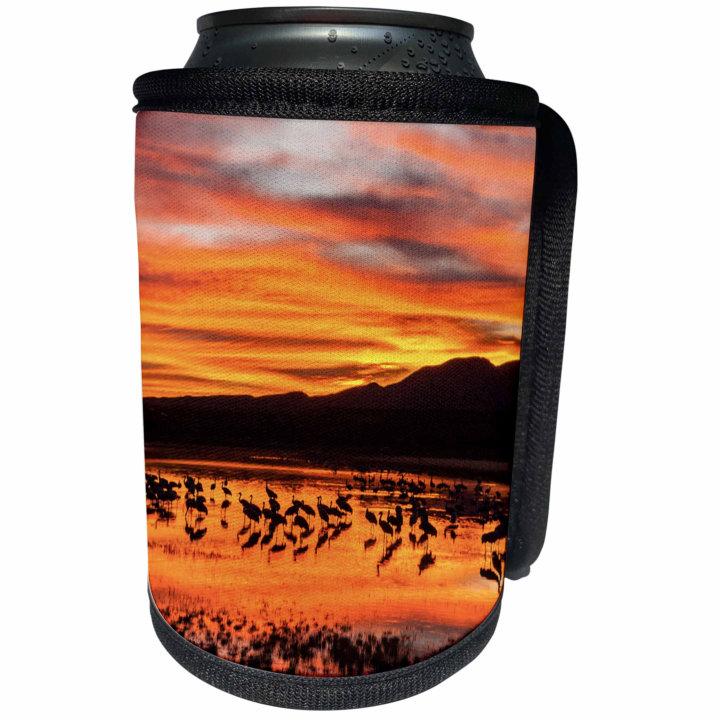 3dRose Danita Delimont - Sunrises - USA, New Mexico, Bosque Del Apache NWR. Sandhill cranes at sunrise. - Can Cooler Bottle Wrap (cc_259733)