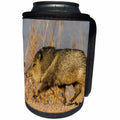 3dRose Danita Delimont - Pigs - USA, New Mexico, Bosque Del Apache NWR. Profile of javelina. - Can Cooler Bottle Wrap (cc_259739)