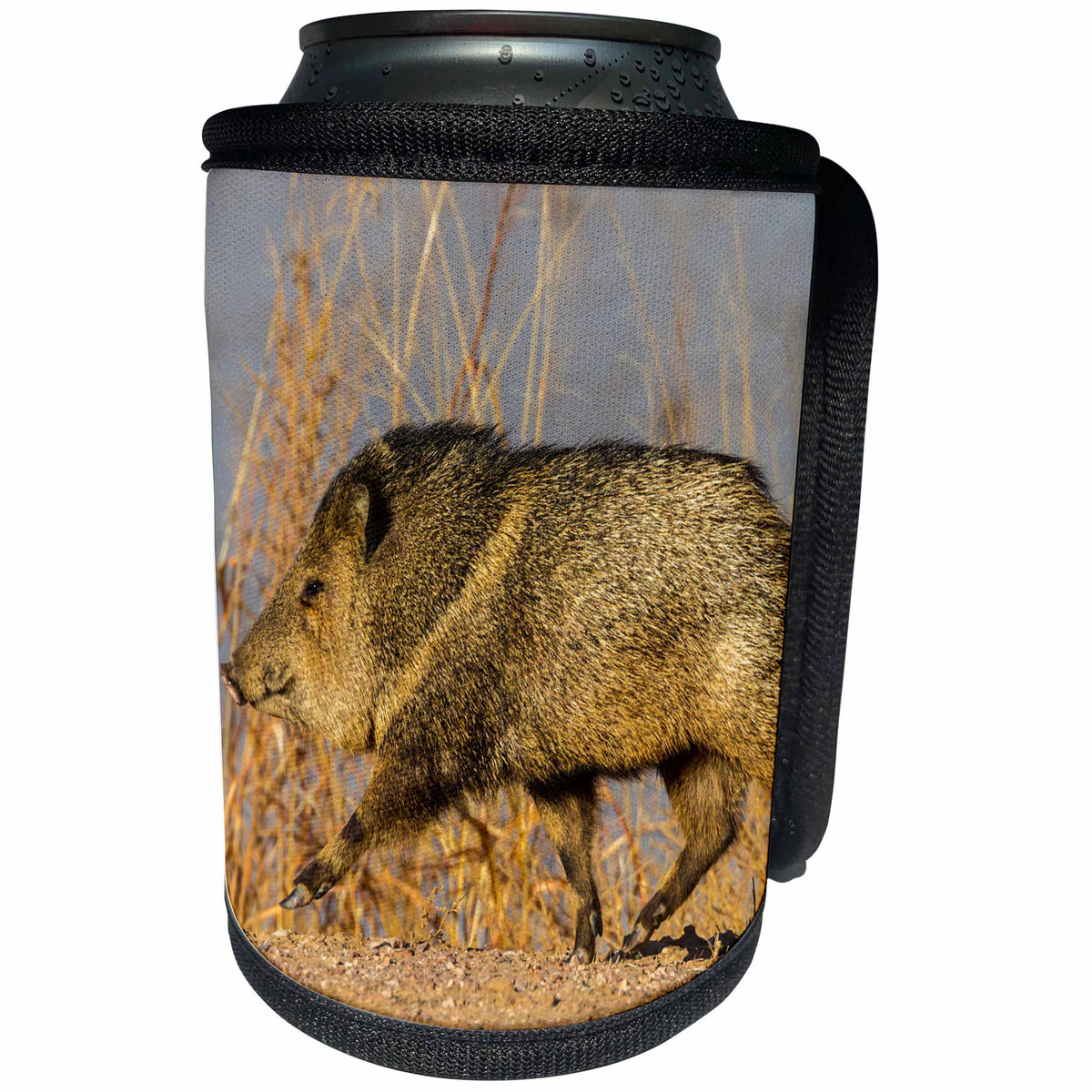 3dRose Danita Delimont - Pigs - USA, New Mexico, Bosque Del Apache NWR. Profile of javelina. - Can Cooler Bottle Wrap (cc_259739)