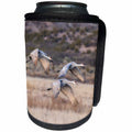 3dRose Danita Delimont - birds - USA, New Mexico, Bosque Del Apache NWR. Sandhill cranes in flight. - Can Cooler Bottle Wrap (cc_259740)