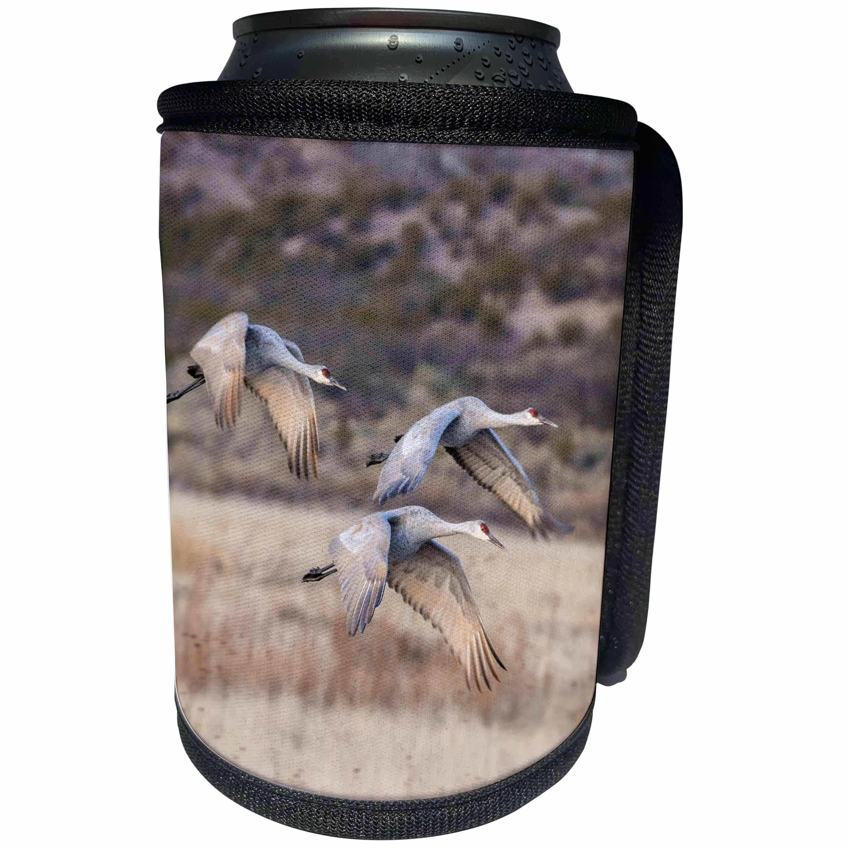 3dRose Danita Delimont - birds - USA, New Mexico, Bosque Del Apache NWR. Sandhill cranes in flight. - Can Cooler Bottle Wrap (cc_259740)