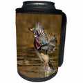 3dRose Danita Delimont - Ducks - Wood Duck, Aix sponsa, male takeoff from river - Can Cooler Bottle Wrap (cc_259748)