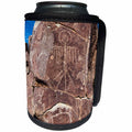 3dRose Danita Delimont - Artwork - Petroglyphs at Three Rivers Petroglyph Site, Three Rivers, New Mexico - Can Cooler Bottle Wrap (cc_259753)