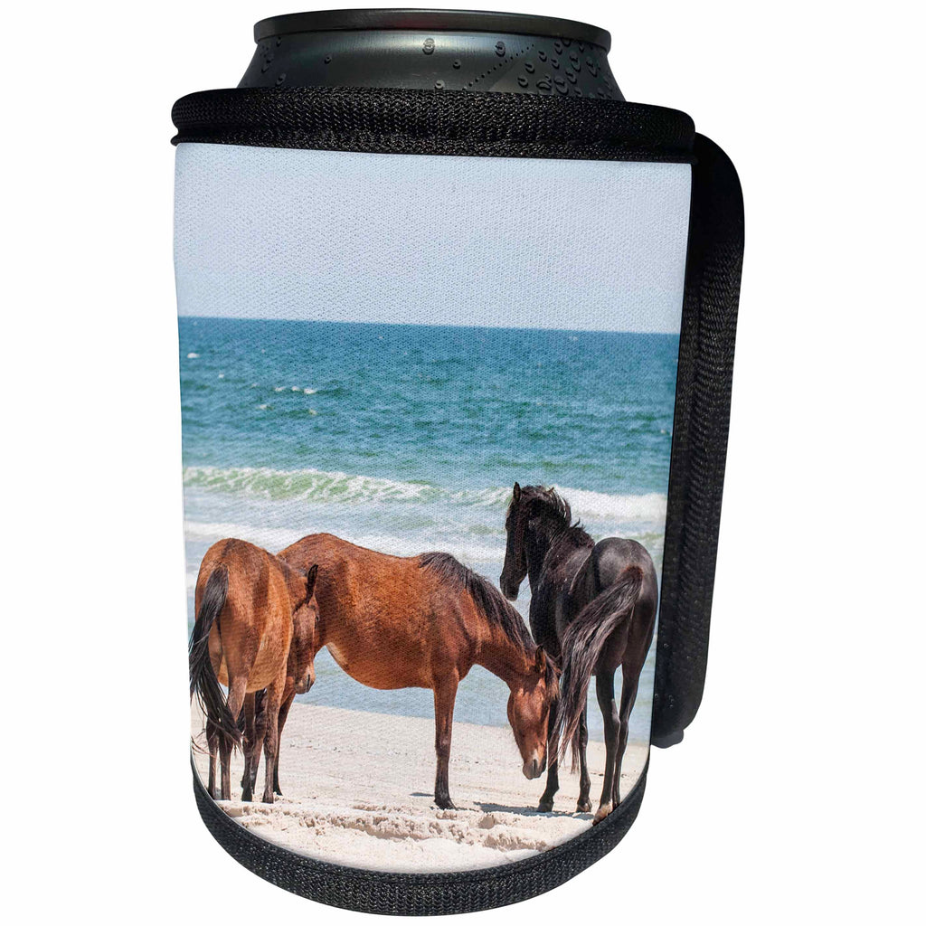 3dRose Wild mustangs, Currituck NWR, Corolla, Outer Banks,... - Can Cooler Bottle Wrap (cc_259811)
