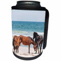 3dRose Wild mustangs, Currituck NWR, Corolla, Outer Banks,... - Can Cooler Bottle Wrap (cc_259811)