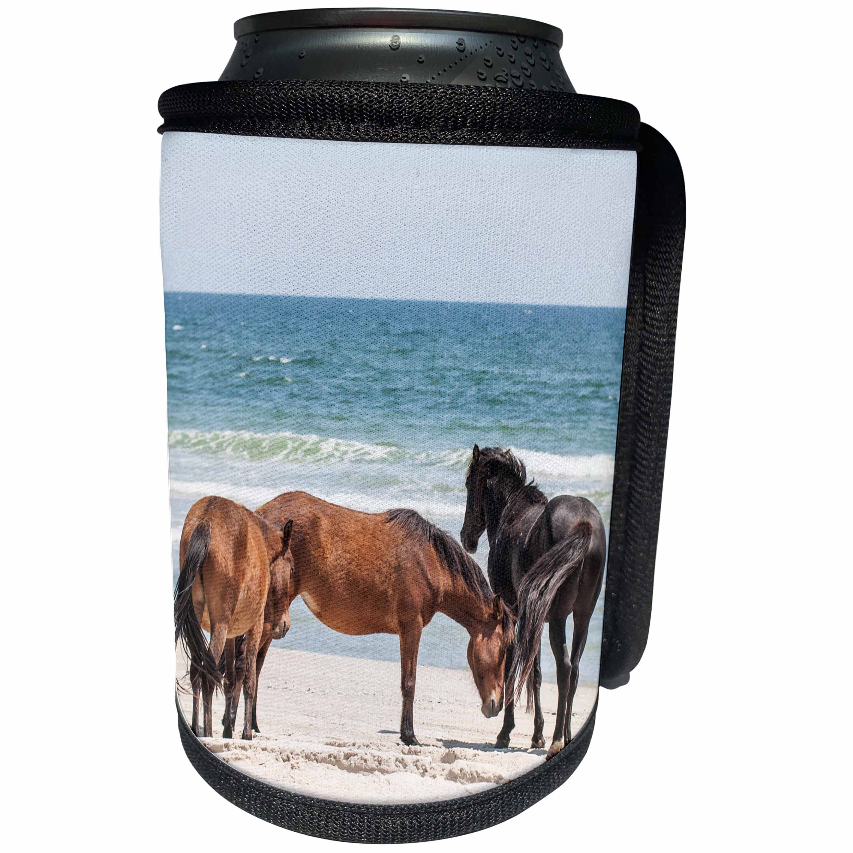 3dRose Wild mustangs, Currituck NWR, Corolla, Outer Banks,... - Can Cooler Bottle Wrap (cc_259811)