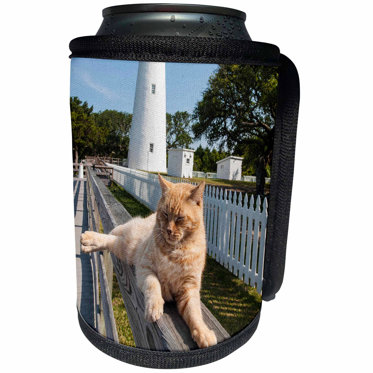 3dRose Danita Delimont - Cats - Ocracoke Island Light Station, Outer Banks, North Carolina, USA. - Can Cooler Bottle Wrap (cc_259813)