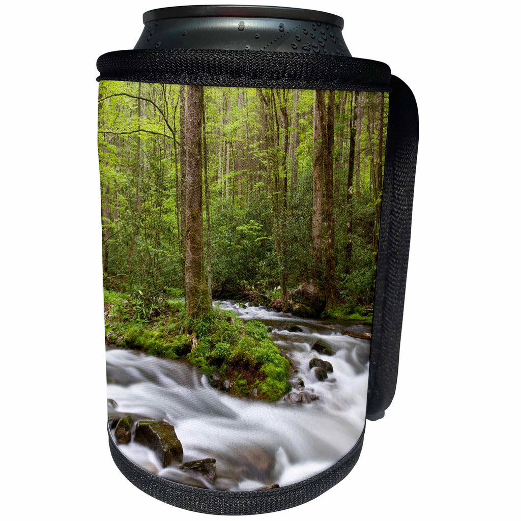 3dRose Danita Delimont - Streams - Spring at Straight Fork Creek, Great Smoky Mountains, North Carolina - Can Cooler Bottle Wrap (cc_259817)