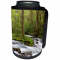 3dRose Danita Delimont - Streams - Spring at Straight Fork Creek, Great Smoky Mountains, North Carolina - Can Cooler Bottle Wrap (cc_259817)