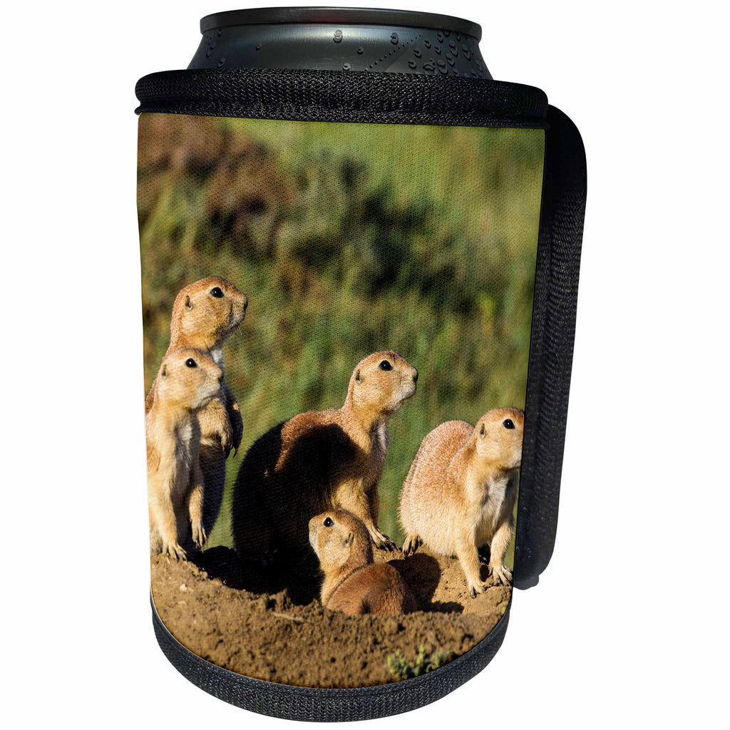 3dRose Danita Delimont - Rodents - Prairie dog family in Theodore Roosevelt National Park, North Dakota - Can Cooler Bottle Wrap (cc_259825)