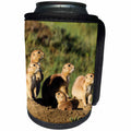 3dRose Danita Delimont - Rodents - Prairie dog family in Theodore Roosevelt National Park, North Dakota - Can Cooler Bottle Wrap (cc_259825)