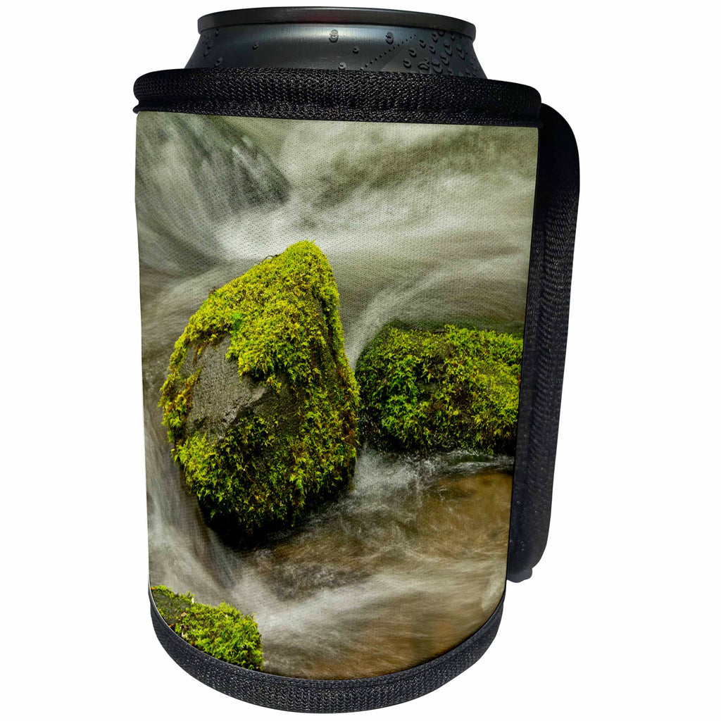 3dRose Danita Delimont - Rivers - Little Zig Zag River, Mount Hood National Forest, Oregon - Can Cooler Bottle Wrap (cc_259920)