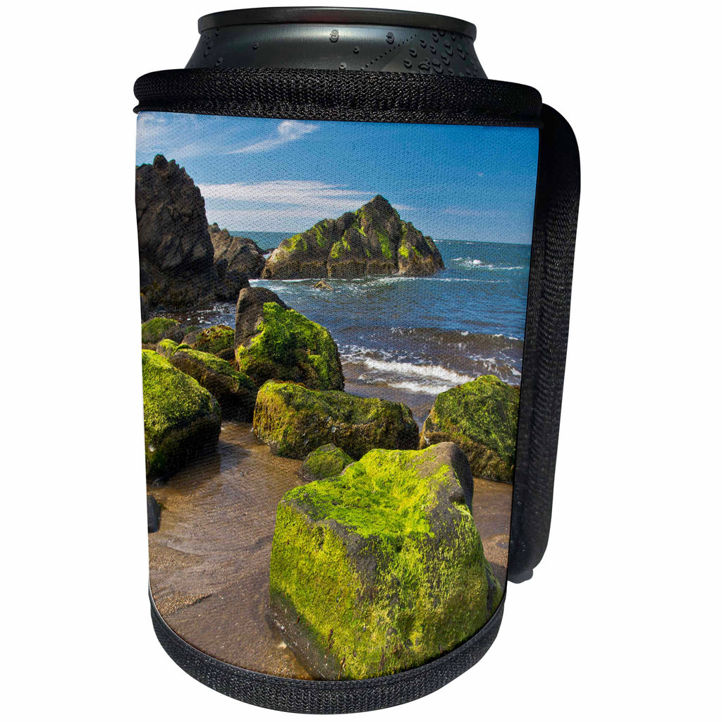 3dRose Danita Delimont - Beaches - Moss-covered rocks, Fogarty Creek SRA, Depoe bay, Oregon - Can Cooler Bottle Wrap (cc_259923)