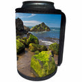 3dRose Danita Delimont - Beaches - Moss-covered rocks, Fogarty Creek SRA, Depoe bay, Oregon - Can Cooler Bottle Wrap (cc_259923)