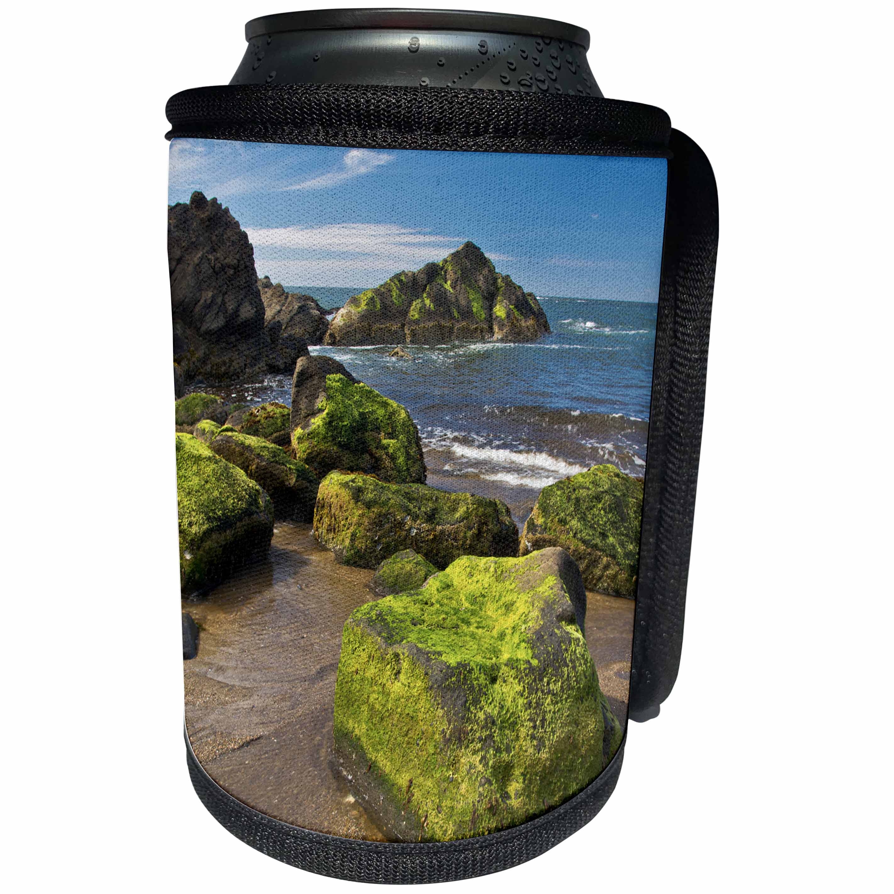 3dRose Danita Delimont - Beaches - Moss-covered rocks, Fogarty Creek SRA, Depoe bay, Oregon - Can Cooler Bottle Wrap (cc_259923)