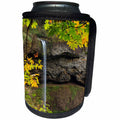 3dRose Danita Delimont - Waterfalls - USA, Oregon, Silver Falls State Park, South Falls. - Can Cooler Bottle Wrap (cc_259925)