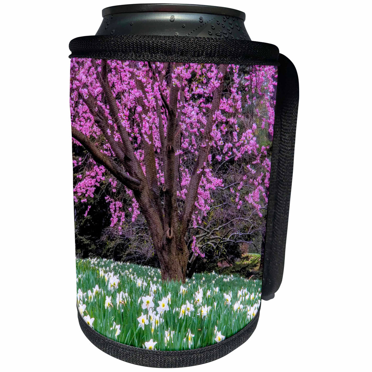 3dRose Danita Delimont - Flowers - Pennsylvania, Wayne. Cherry blossom tree in garden. - Can Cooler Bottle Wrap (cc_259942)