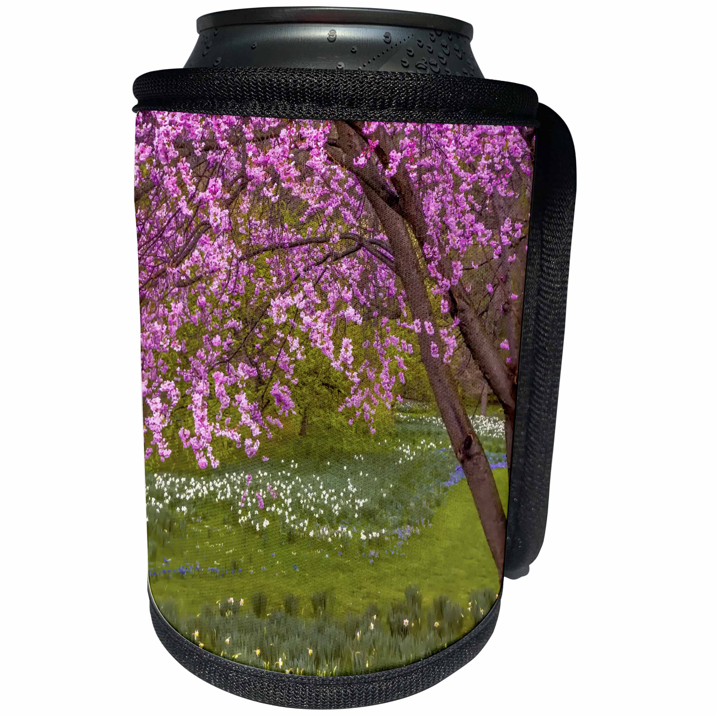 3dRose Danita Delimont - Flowers - Pennsylvania, Wayne, Cherry blossom tree in garden. - Can Cooler Bottle Wrap (cc_259947)