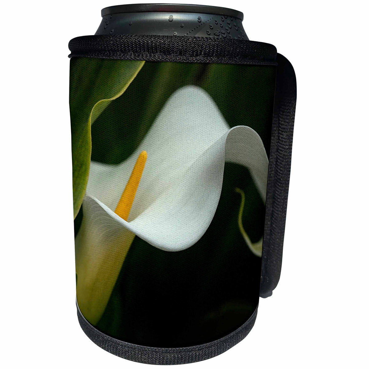 3dRose Danita Delimont - Flowers - USA, Pennsylvania. Calla lily close-up. - Can Cooler Bottle Wrap (cc_259950)