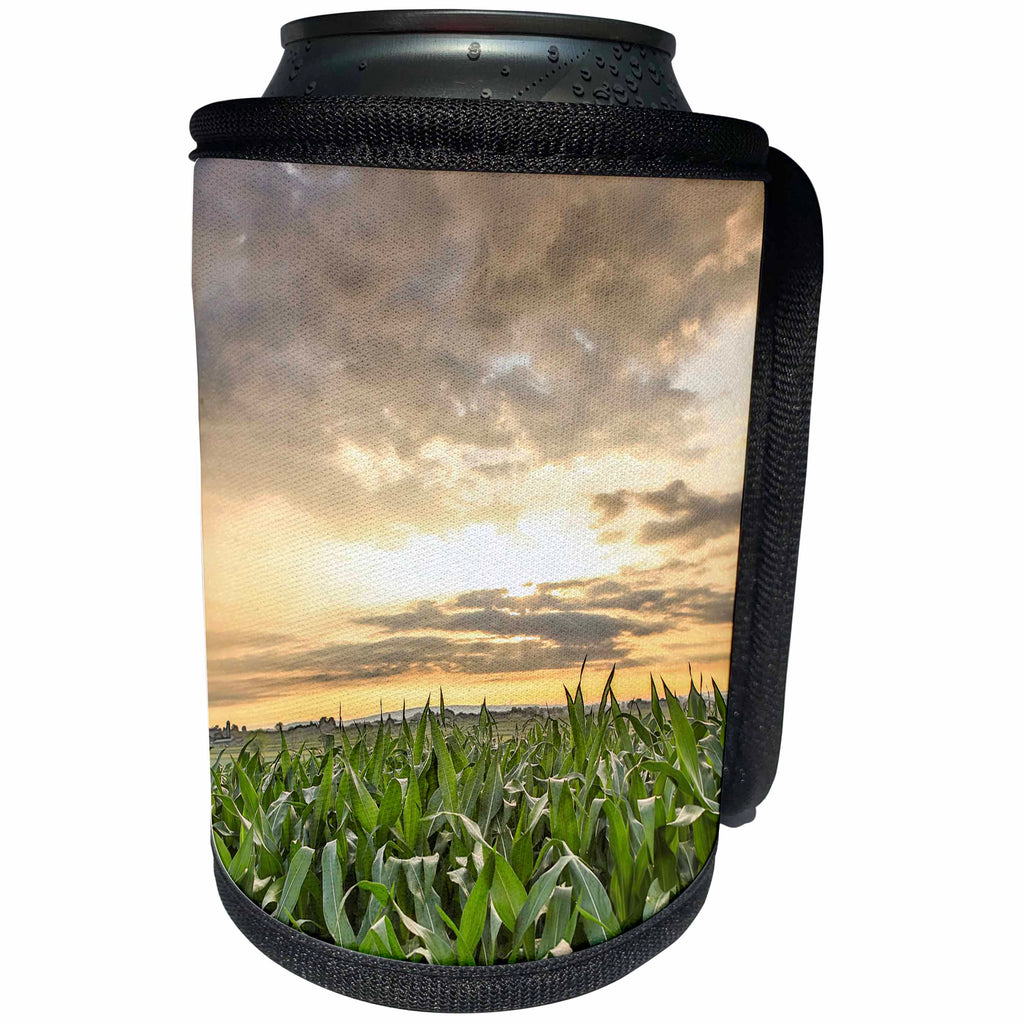 3dRose Danita Delimont - Agriculture - Sunset over silver clouds and cornfield, Lancaster Co., Pennsylvania - Can Cooler Bottle Wrap (cc_259956)