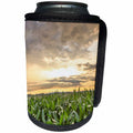 3dRose Danita Delimont - Agriculture - Sunset over silver clouds and cornfield, Lancaster Co., Pennsylvania - Can Cooler Bottle Wrap (cc_259956)