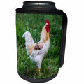 3dRose Danita Delimont - Chickens - Rooster poses on the green grass, Lancaster County, Pennsylvania - Can Cooler Bottle Wrap (cc_259957)