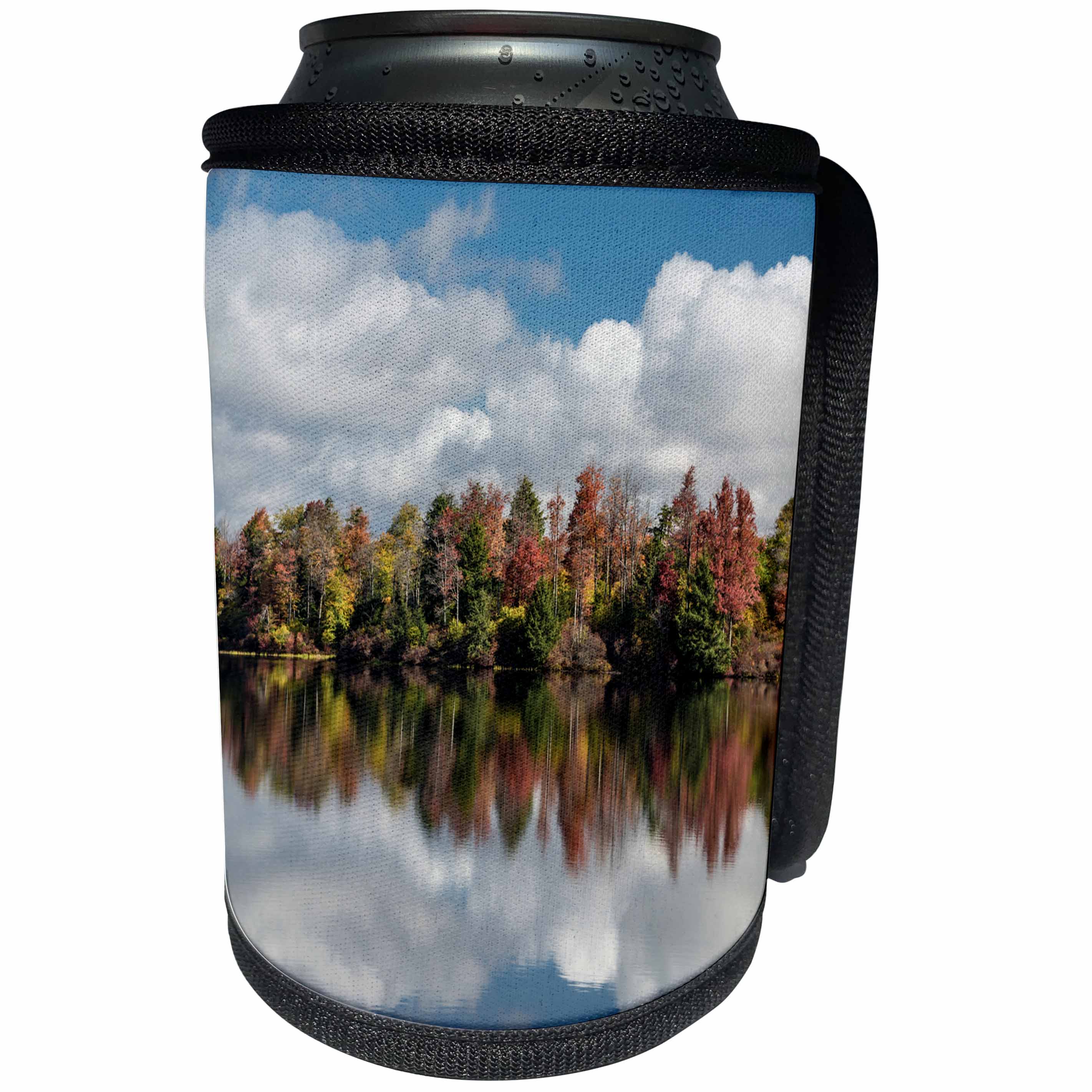 3dRose Danita Delimont - Lakes - Pennsylvania, Ricketts Glen State Park. Fall foliage around a lake. - Can Cooler Bottle Wrap (cc_259964)