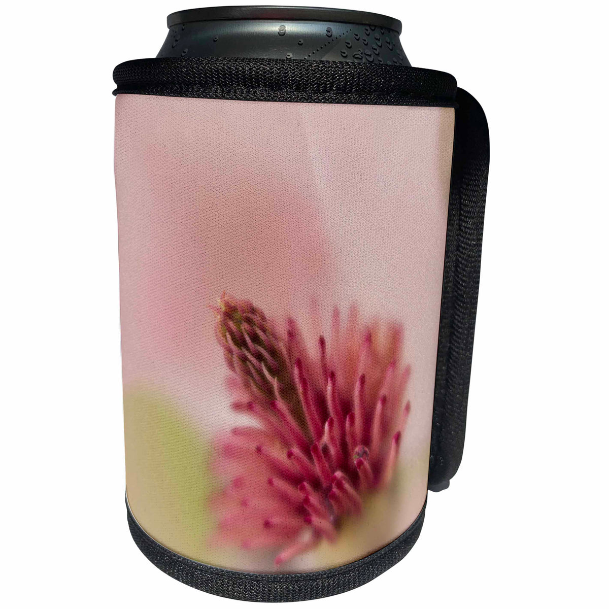 3dRose Danita Delimont - Flowers - USA, South Carolina, Charleston. Magnolia flower detail. - Can Cooler Bottle Wrap (cc_259973)