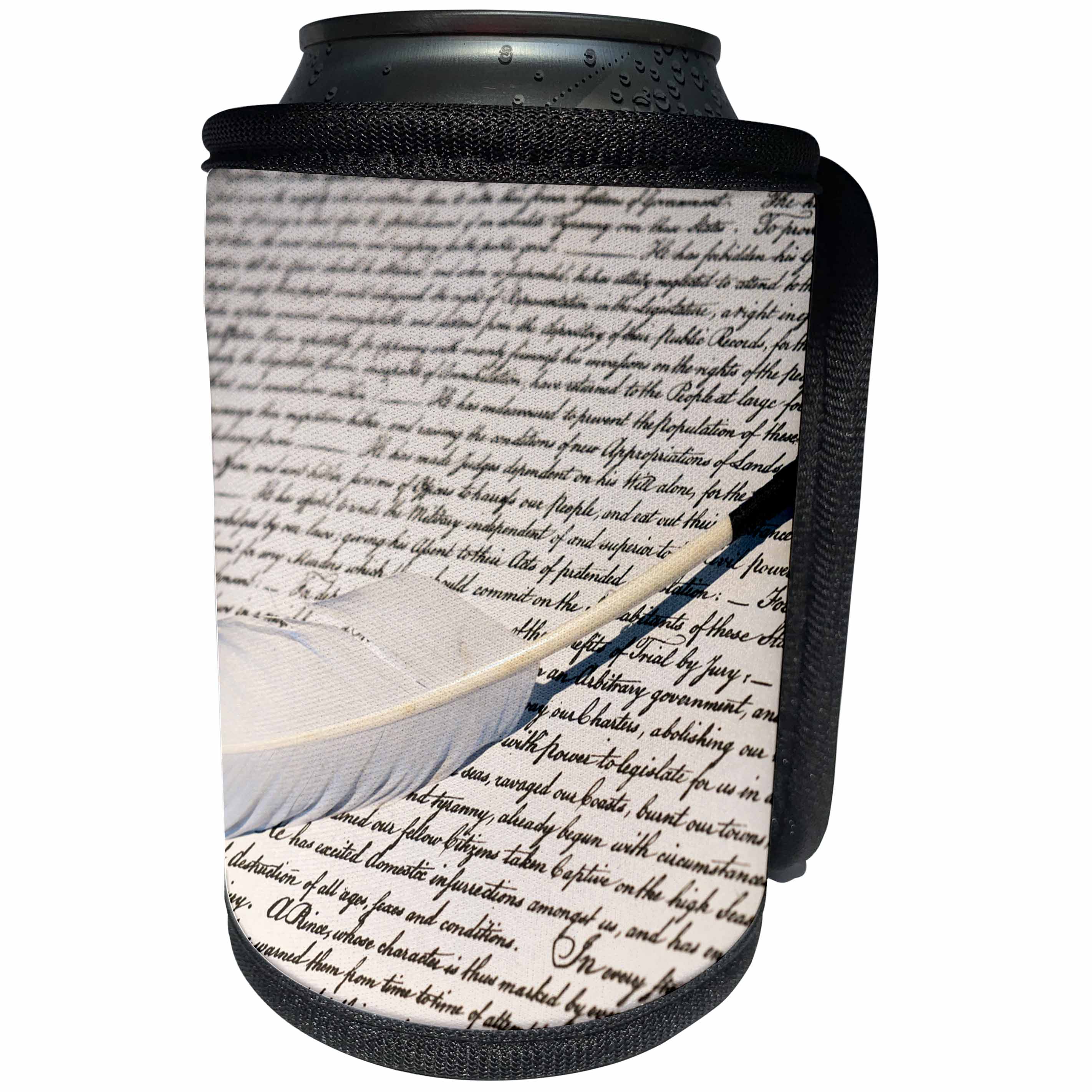 3dRose Danita Delimont - objects - Copy of the declaration of independence, Charleston, South Carolina - Can Cooler Bottle Wrap (cc_259975)