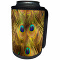 3dRose Danita Delimont - Birds - South Carolina, Charleston, Peacock feather details. - Can Cooler Bottle Wrap (cc_259980)