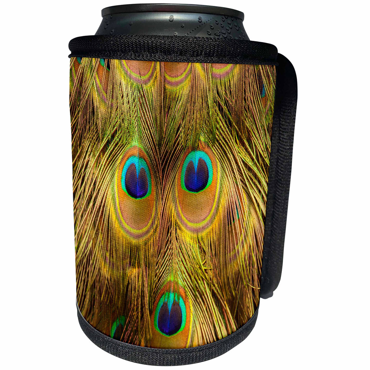 3dRose Danita Delimont - Birds - South Carolina, Charleston, Peacock feather details. - Can Cooler Bottle Wrap (cc_259980)