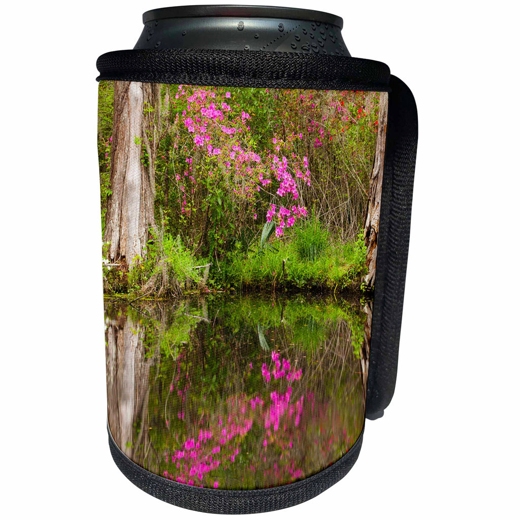 3dRose Danita Delimont - Trees - South Carolina, Charleston, Azaleas blooming in the spring. - Can Cooler Bottle Wrap (cc_259982)
