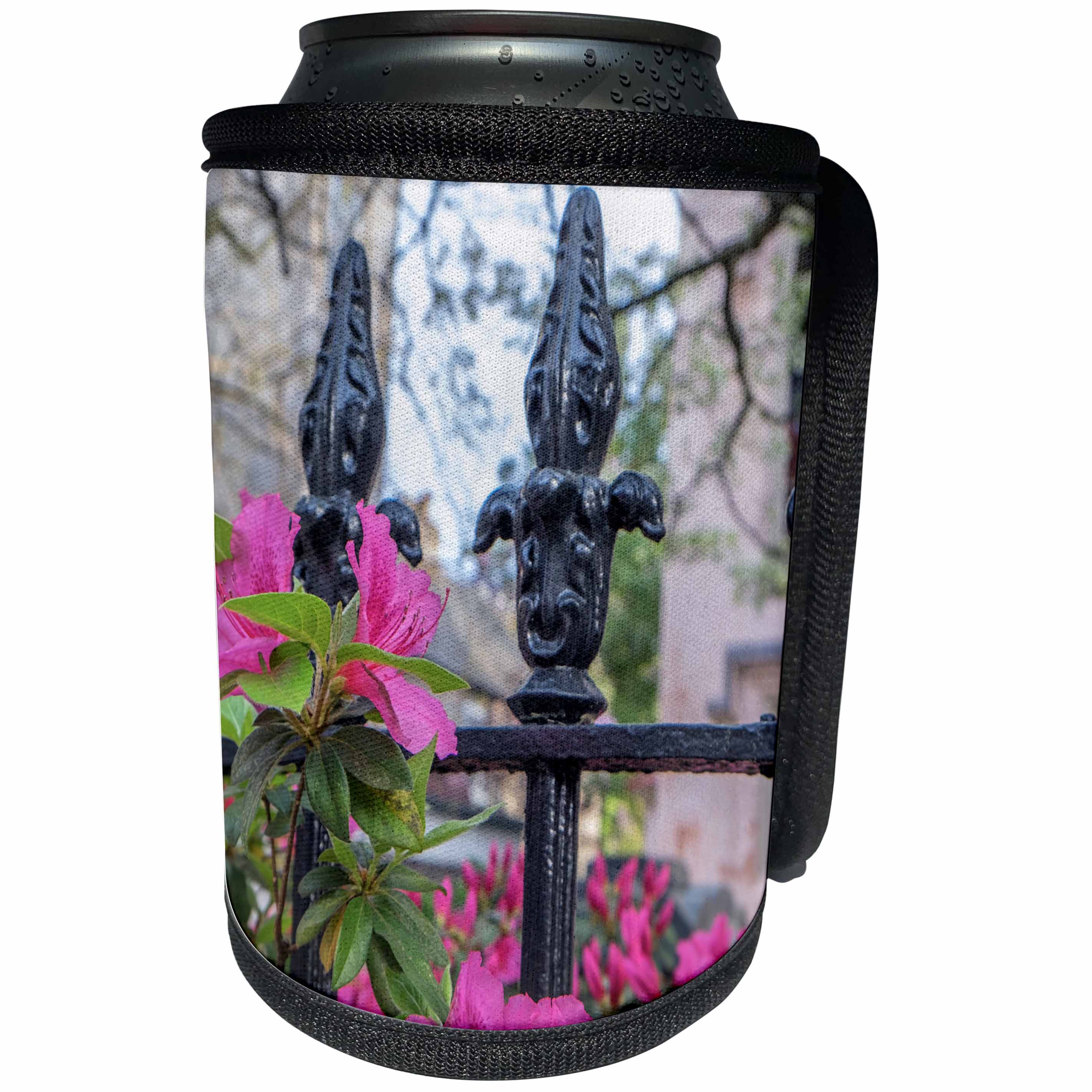 3dRose Danita Delimont - Flowers - Azaleas cover a wrought iron fence, Charleston, South Carolina, USA - Can Cooler Bottle Wrap (cc_259988)