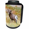 3dRose Danita Delimont - Sheep - South Dakota, Badlands National Park, Full Curl Bighorn Sheep grazing. - Can Cooler Bottle Wrap (cc_259993)