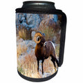 3dRose Danita Delimont - Sheep - South Dakota, Wall, Badlands National Park, Male Big Horn Sheep - Can Cooler Bottle Wrap (cc_259994)