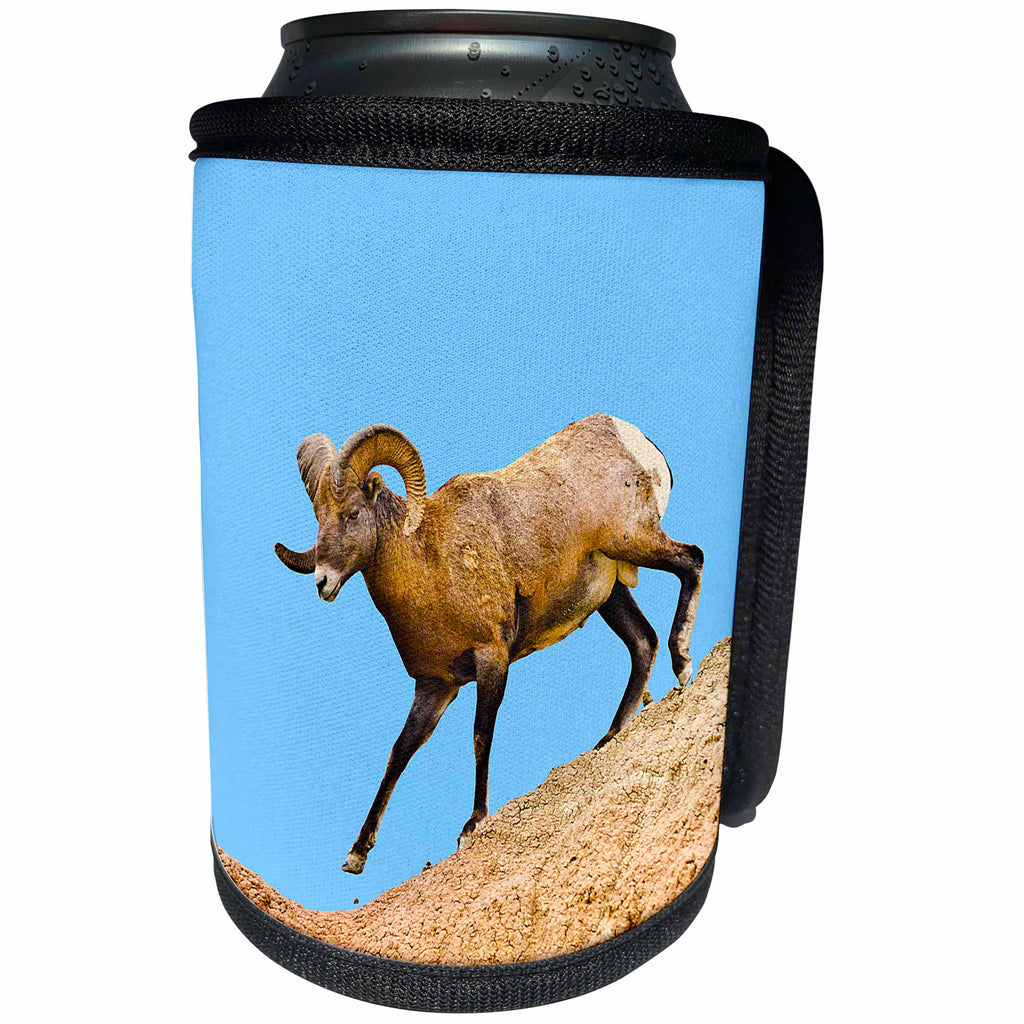 3dRose Danita Delimont - Sheep - USA, South Dakota, Badlands NP, Bighorn Sheep Climbing Down. - Can Cooler Bottle Wrap (cc_259996)