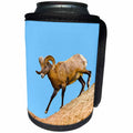 3dRose Danita Delimont - Sheep - USA, South Dakota, Badlands NP, Bighorn Sheep Climbing Down. - Can Cooler Bottle Wrap (cc_259996)