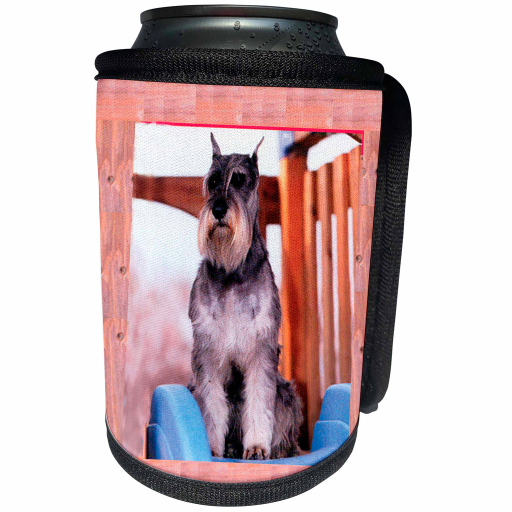 3dRose Dogs Schnauzer - Schnauzer - Can Cooler Bottle Wrap (cc_260)
